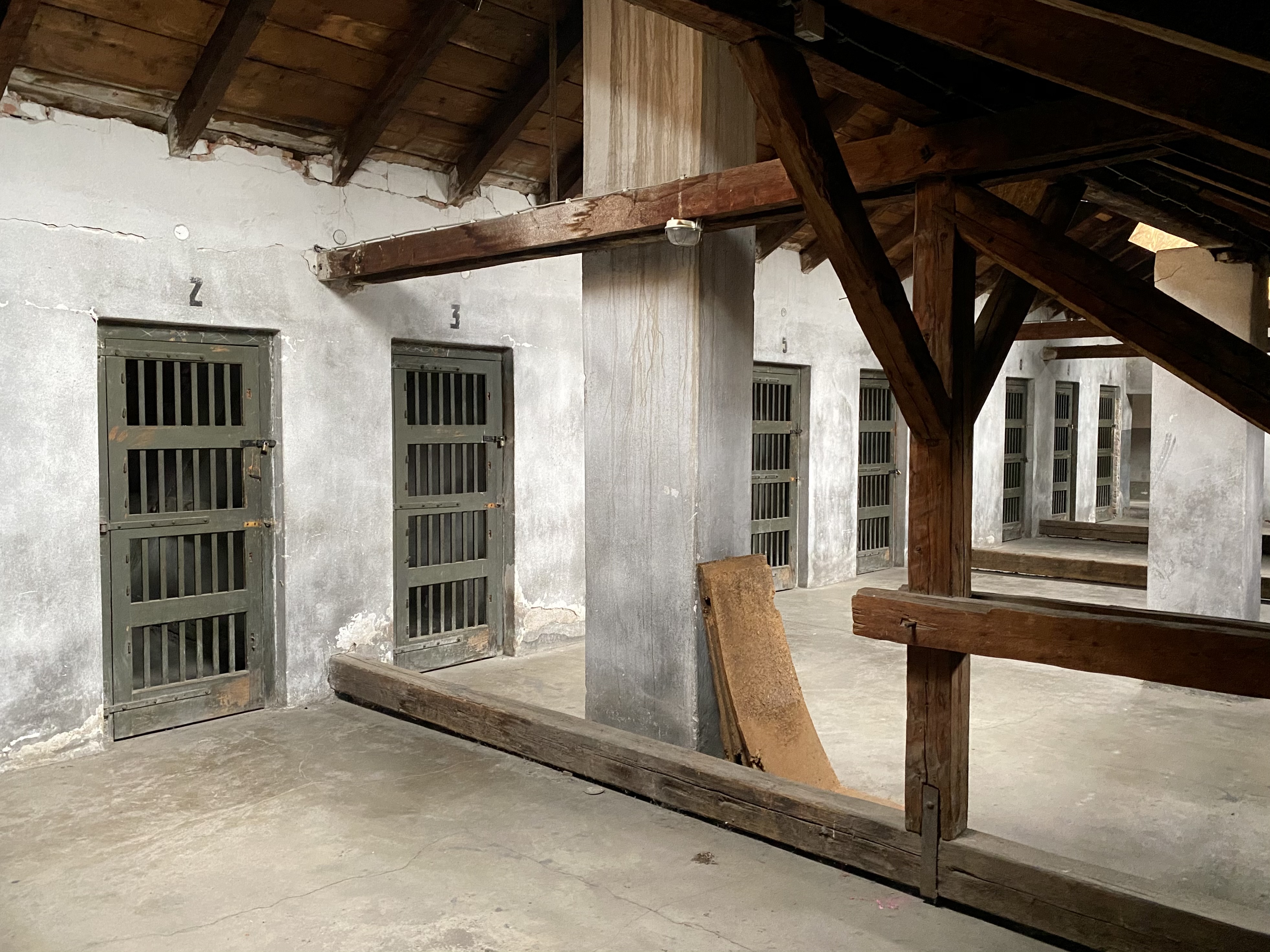 Travel photography by Asar Dhandala - exploring destinations around the world (photo 52)